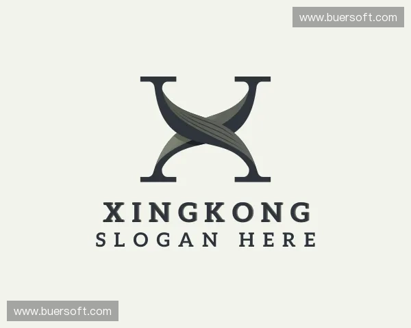 探索xingkong官方入口